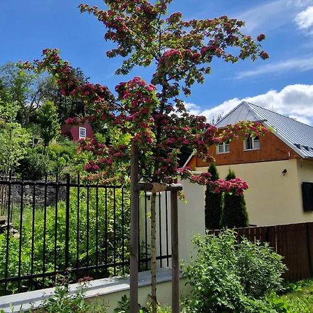 Banská Štiavnica Siglisbergヴィラ エクステリア 写真