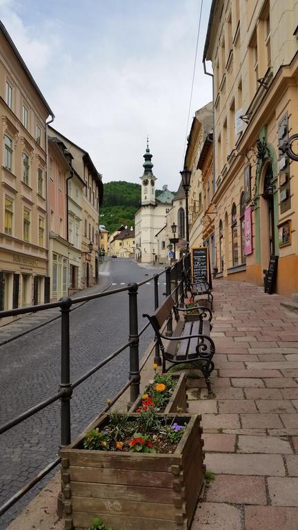 Banská Štiavnica Siglisbergヴィラ 部屋 写真