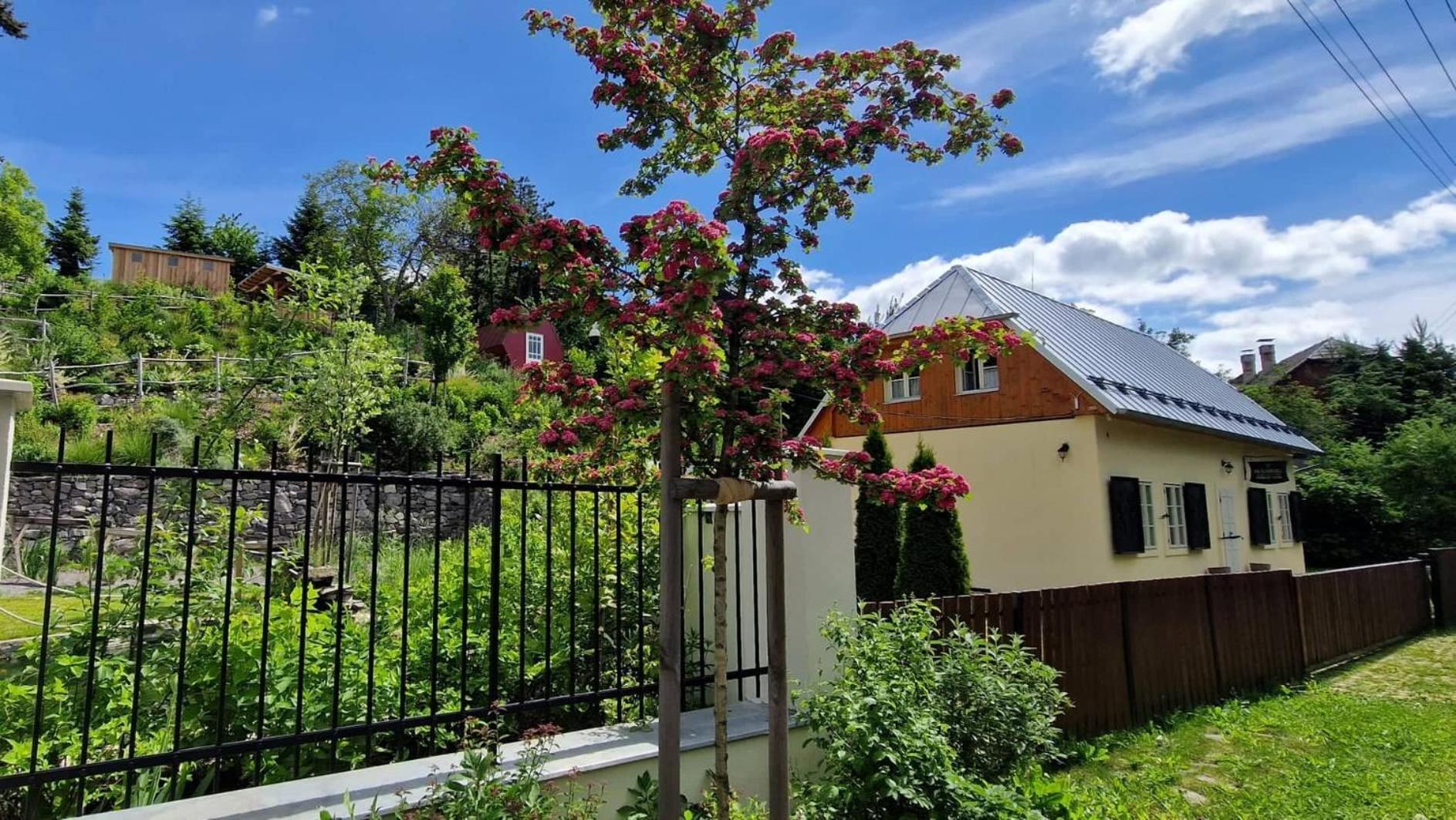 Banská Štiavnica Siglisbergヴィラ エクステリア 写真